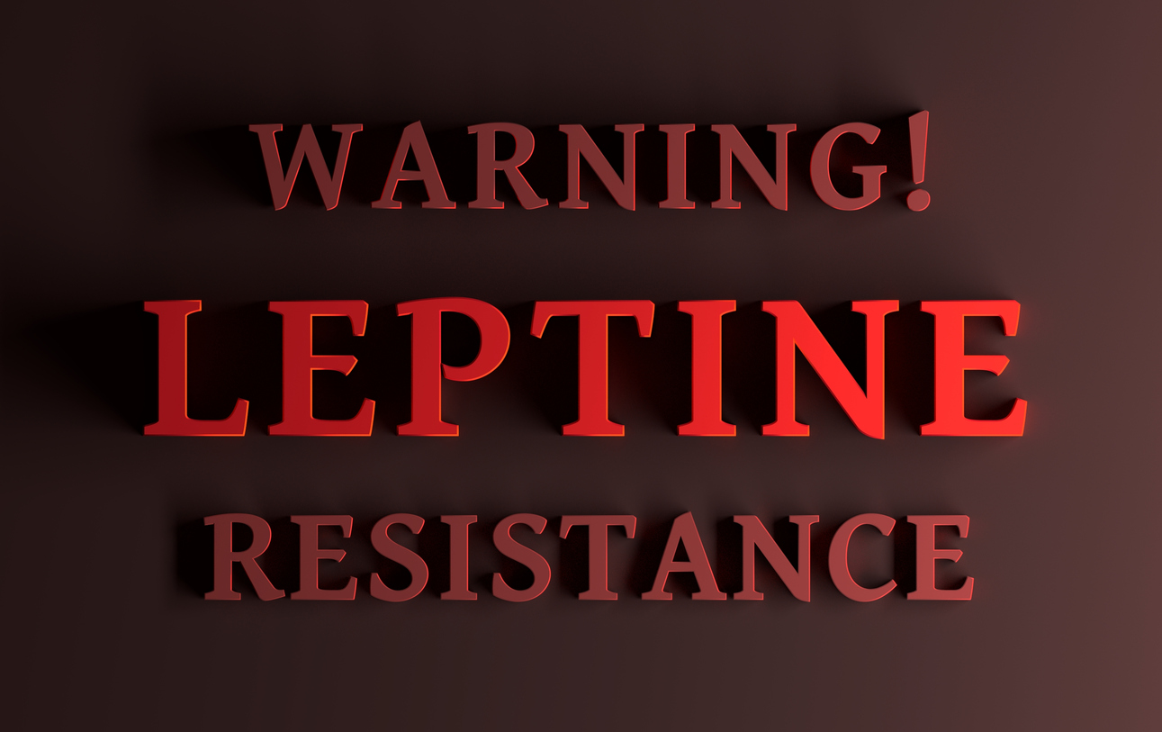 Leptin and Obesity: Key Things to Know about Leptin Resistance